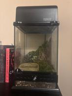 Exo terra, Dieren en Toebehoren, Ophalen of Verzenden, Zo goed als nieuw, Terrarium of Paludarium