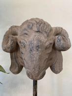 Stoere ram op voet!, Ophalen of Verzenden, Zo goed als nieuw