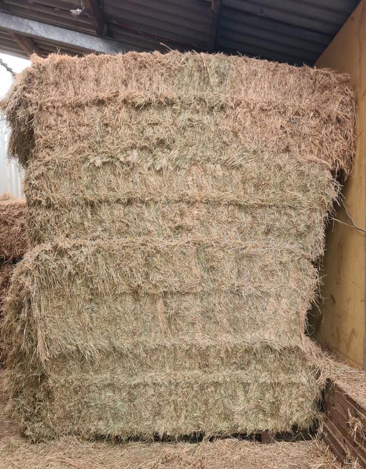 Mooi Paardenhooi, Dieren en Toebehoren, Stalling en Weidegang