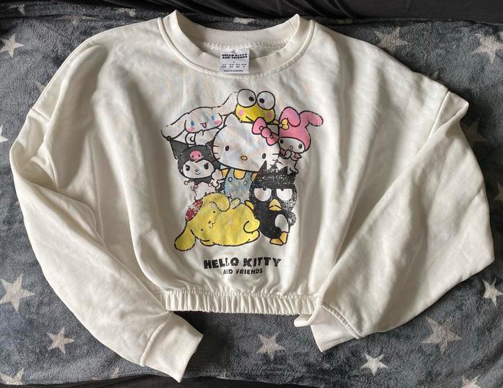 Crop Trui Sanrio Hello Kitty And Friends Dames, Kleding | Dames, Truien en Vesten, Nieuw, Maat 42/44 (L), Overige kleuren, Ophalen of Verzenden