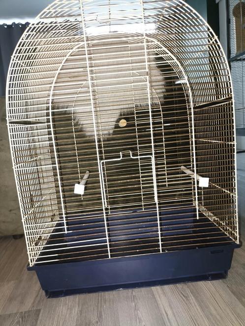 Vogel kooi, Dieren en Toebehoren, Vogels | Hokken en Kooien, Gebruikt, Vogelkooi, Metaal, Ophalen