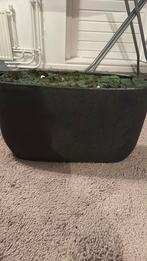 Bloempot voor binnen, Binnen, Zo goed als nieuw, Minder dan 40 cm, Overige vormen