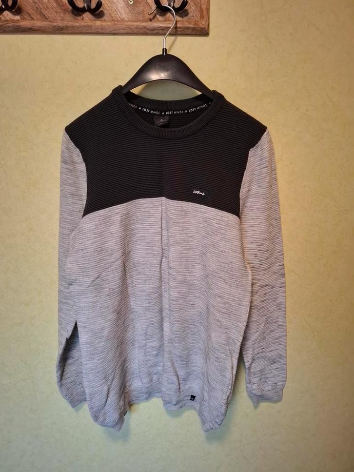 Lost Minds sweater XL modern colorblock, Kleding | Heren, Truien en Vesten, Gedragen, Maat 56/58 (XL), Grijs, Ophalen of Verzenden