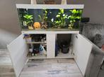 Compleet Eheim aquarium met vissen, Ophalen of Verzenden, Zo goed als nieuw, Gevuld zoetwateraquarium