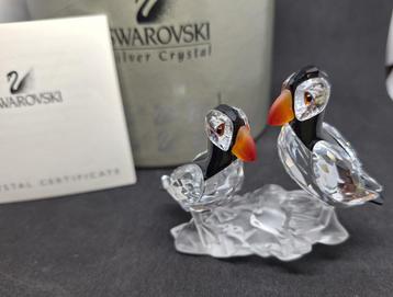 Swarovski papegaaiduikers  vogel beschikbaar voor biedingen