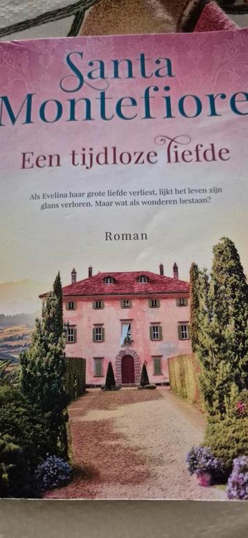 Een tijdloze liefde Santa Montefiore  beschikbaar voor biedingen