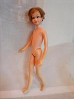 Vintage barbie poppen skipper, Ophalen of Verzenden, Gebruikt, Fashion Doll