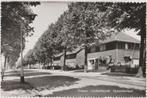 Geleen Lindenheuvel Hyacintenlaan 1956., Verzamelen, Ansichtkaarten | Nederland, Verzenden, 1940 tot 1960, Gelopen, Limburg