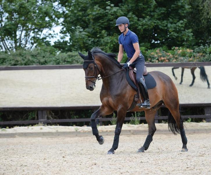 Weatherbeeta Prime Zadeldek Zwart, Full Dressuur en Full VZH, Dieren en Toebehoren, Paarden en Pony's | Dekens en Dekjes, Nieuw