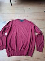 Paul Shark wollen trui XXL bordeaux/rood, Overige maten, Ophalen of Verzenden, Zo goed als nieuw, Paul Shark