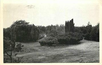 (377-473-027) Nieuw-Milligen Rabbit-Hill beschikbaar voor biedingen