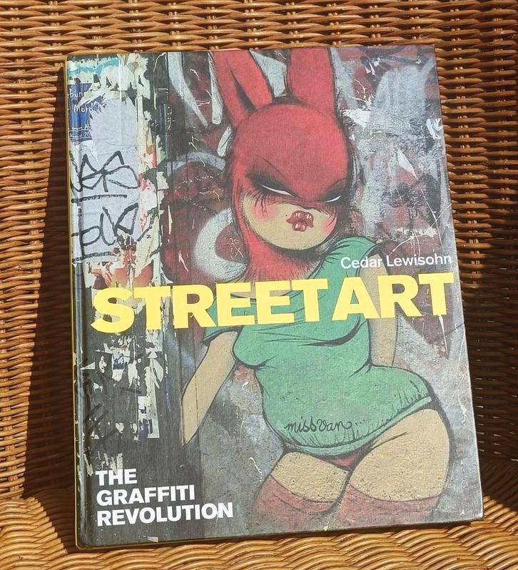 Streetart The Graffiti Revolution - Cedar Lewihson, 2008, Boeken, Kunst en Cultuur | Beeldend, Zo goed als nieuw, Overige onderwerpen