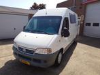 Fiat 244L Fiat Ducato Possl, Vastbed, Cruise control, Nieuwe, Heeren Auto, Molenstraat 20
4756 BE  Kruisland, NL, Info@heerenauto.nl