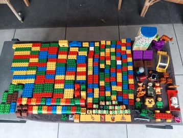 Duplo lego grote partij van alles wat en veel bouwblokken beschikbaar voor biedingen