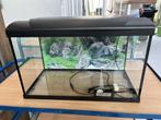 aquarium 45 liter, Dieren en Toebehoren, Vis, Zoetwatervis