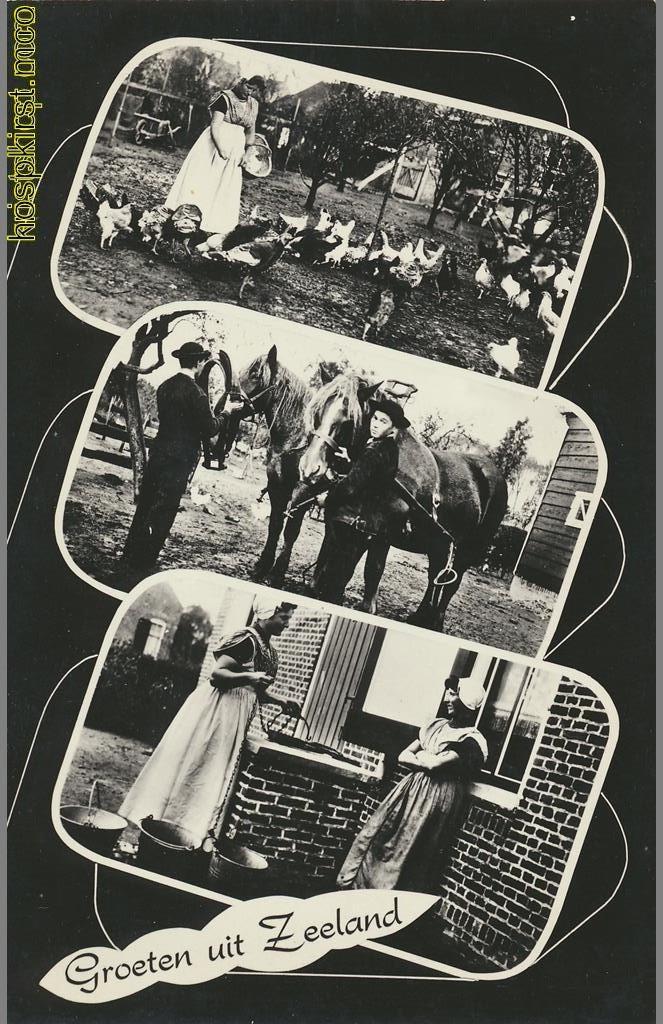 Zeeland - Groeten uit [KRST009-0576, Verzamelen, Ansichtkaarten | Nederland, Ongelopen, Zeeland, 1960 tot 1980, Verzenden