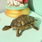 Vintage schildpad schaaltje schildpadje bewaarbakje, Antiek en Kunst, Ophalen of Verzenden