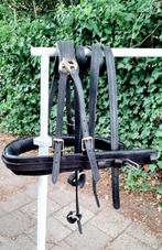 🔴GOED COB-MAAT STERK LOS BORSTTUIG MET STRENGEN. 35 €  🔴, Dieren en Toebehoren, Ophalen of Verzenden