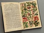 Flore des Alpes door Prof. C. Schroter (1904), Ophalen of Verzenden, Zo goed als nieuw, Natuur algemeen