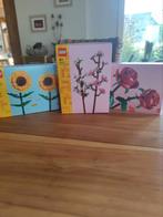 LEGO Botanical Collection - 1x gebouwd., Kinderen en Baby's, Speelgoed | Duplo en Lego, Ophalen of Verzenden, Zo goed als nieuw