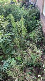 Verschillende tuinklussen, Tuin en Terras, Ophalen of Verzenden