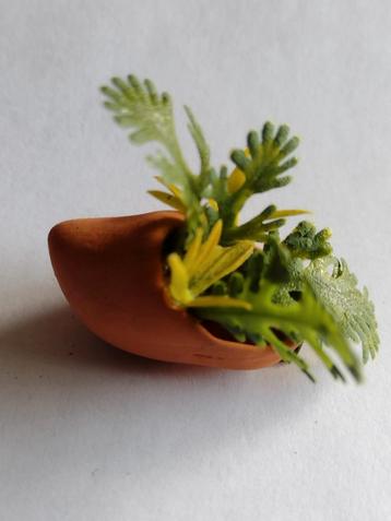 terra cotta muurklomp met planten / miniatuur beschikbaar voor biedingen
