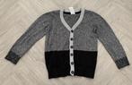 Fijne nette Vest, maat 104, Verzenden, Zo goed als nieuw, Jongen, Trui of Vest