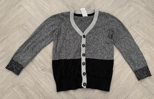 Fijne nette Vest, maat 104, Kinderen en Baby's, Kinderkleding | Maat 104, Zo goed als nieuw, Jongen, Trui of Vest, Verzenden