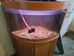 Jewel panorama aquarium, Dieren en Toebehoren, Vissen | Aquaria en Toebehoren, Ophalen, Gebruikt, Leeg aquarium