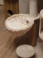 Kitten, Dieren en Toebehoren, Ophalen, Zo goed als nieuw, Krabpaal