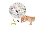 2x Reptile Slow Feeder Ball–New(Too Big for My Small Dragon), Dieren en Toebehoren, Ophalen of Verzenden, Nieuw