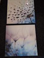 Te koop 2 glasschilderijen, Ophalen