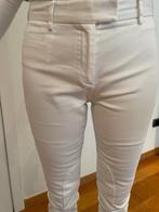 Gant broek, slim fit, mt 36, wit, Wit, Ophalen of Verzenden, Zo goed als nieuw, GANT