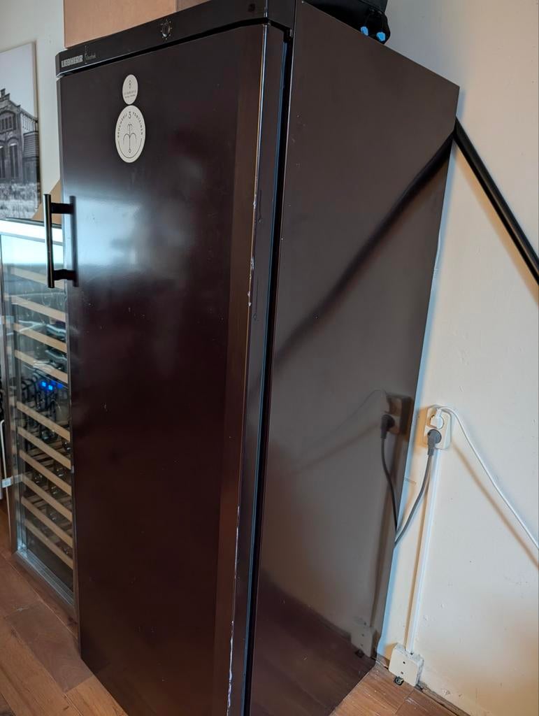 Liebherr Vinothek WT 4126, Witgoed en Apparatuur, Koelkasten en IJskasten, Ophalen, 200 liter of meer, 60 cm of meer, 160 cm of meer