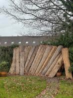 riet schutting, Ophalen of Verzenden, Gebruikt, Minder dan 3 meter, 2 meter of meer