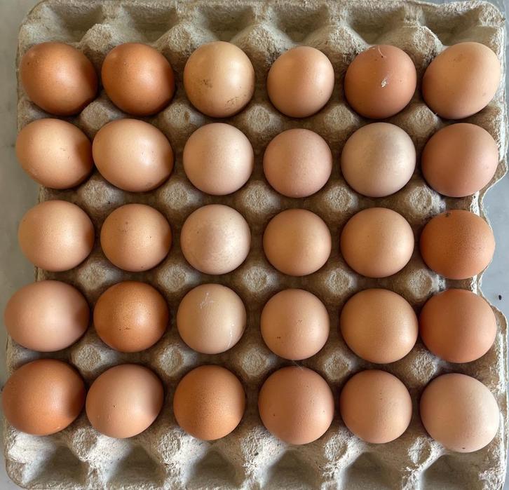 Verse Eieren, Diversen, Levensmiddelen, Ophalen