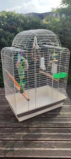 Vogelkooi met accessoires – uitstekende staat, Ophalen of Verzenden, Zo goed als nieuw, Vogelkooi, NA