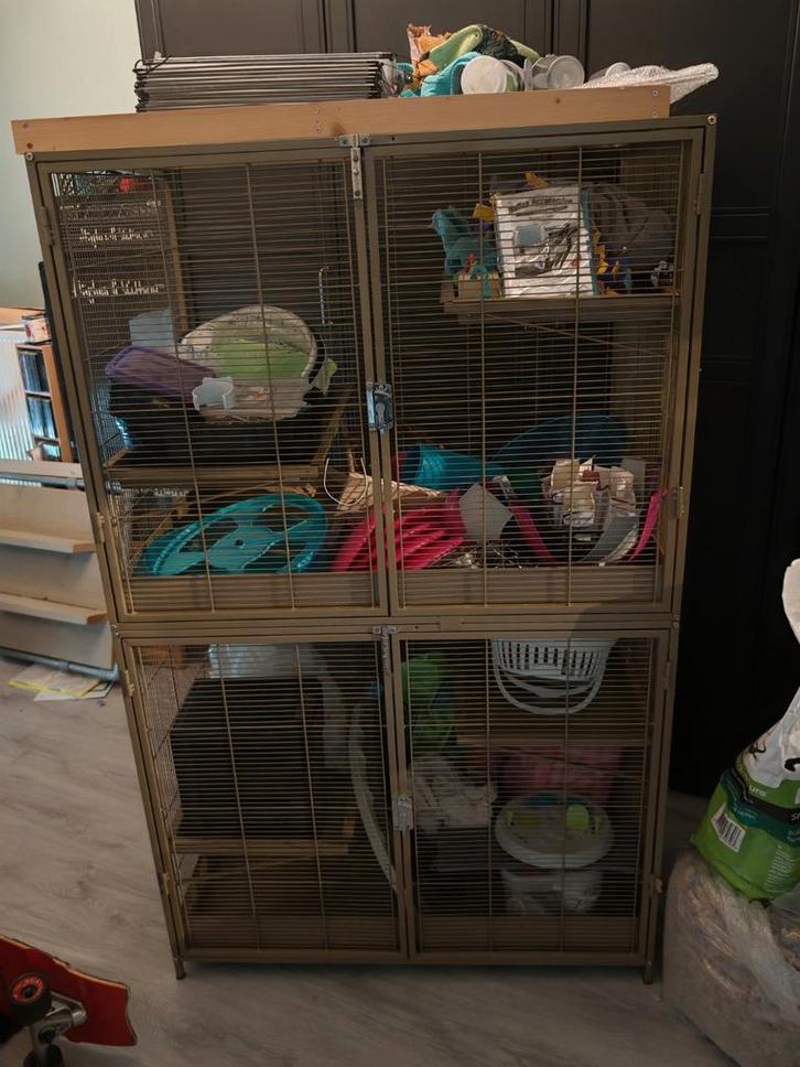Little Zoo Venturer + toebehoren, Dieren en Toebehoren, Knaagdieren en Konijnen | Hokken en Kooien, Kooi, 90 cm of meer, 110 cm of meer