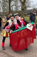 Carnavalskleding optocht loopgroep, Ophalen, Gedragen, Maat 42/44 (L), Carnaval