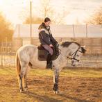 Eerlijke lieve  6 jarige Allround D-pony 1.42m 🏆, Minder dan 160 cm, B, Ruin, 3 tot 6 jaar