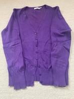Paars vest van Anni Rolfi - Maat M, Ophalen of Verzenden, Zo goed als nieuw, Maat 38/40 (M), Paars