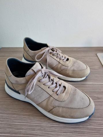 Campbell Heren Schoenen Maat 44 beschikbaar voor biedingen