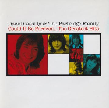 David Cassidy & The Partridge Family - Could it be forever beschikbaar voor biedingen
