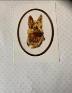 BORDUURPAKKET THEA GOUVERNEUR HERDERSHOND, Verzenden, Nieuw, Handborduren, Borduurpakket
