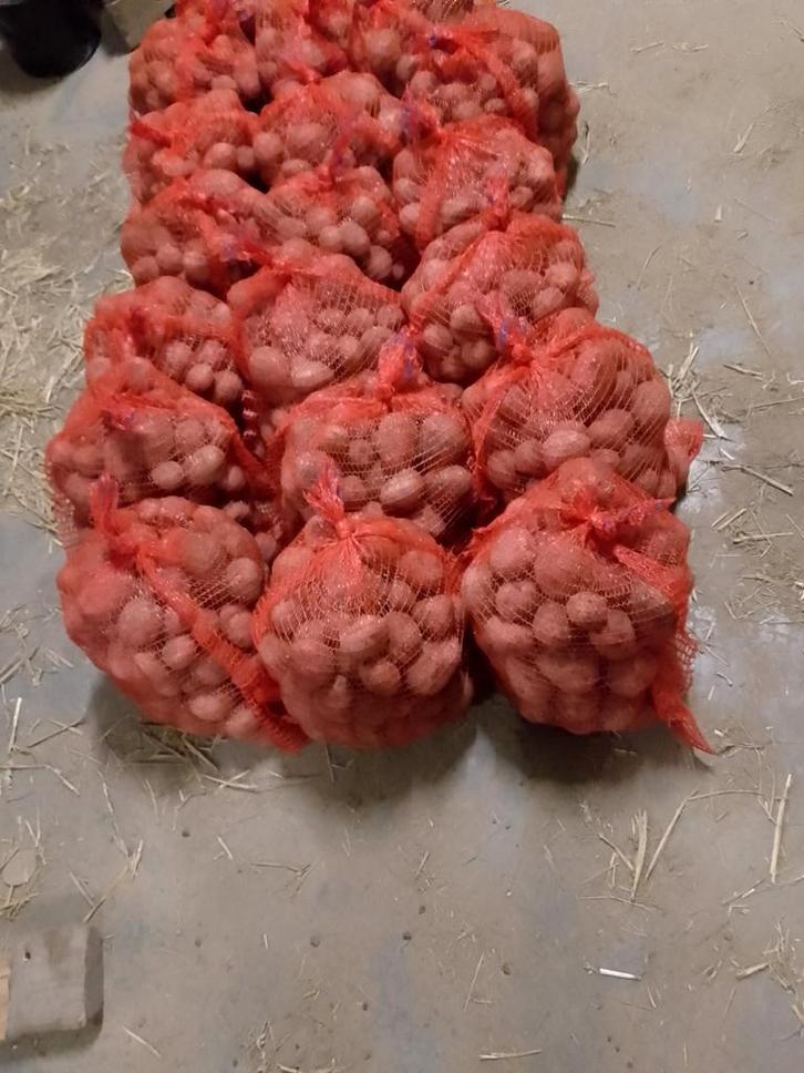 Aardappelen, Zakelijke goederen, Agrarisch | Aardappelen, Groenten, Fruit en Vlees, Ophalen