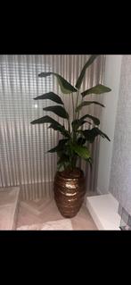 Mooie Pot van Pot en Vaas, Huis en Inrichting, Woonaccessoires | Zuilen en Pilaren, Ophalen, Zo goed als nieuw