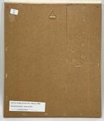 515. Kleurenhoutsnede, Kees van Dongen, "Le balcon fleuri", Antiek en Kunst, Kunst | Litho's en Zeefdrukken, Ophalen of Verzenden