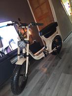 Fatbike, Fietsen en Brommers, Ophalen of Verzenden, Zo goed als nieuw, Elektrisch, Overige merken