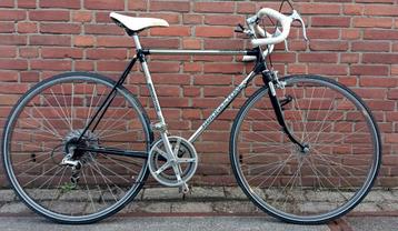 Vintage Bridgestone Submariner met RVS frame!! beschikbaar voor biedingen