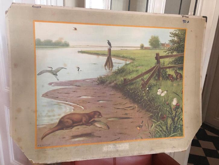 schoolplaat "Aan de rivier", Antiek en Kunst, Antiek | Schoolplaten, Natuur en Biologie, Ophalen of Verzenden